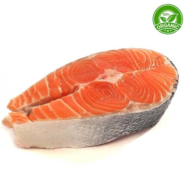 Organic Salmon Steak Import