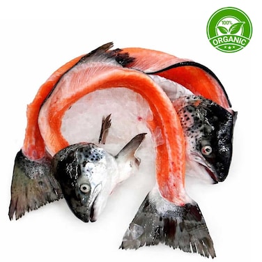 Organic Salmon Head With Bones  Import