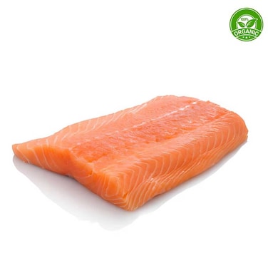 Organic Salmon Fillet Import