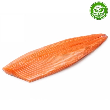 Organic Salmon Fillet Import