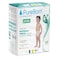 PureBorn Pull-Up Pants Size 6 XL, 16 Plus kg, 18 Pants, Pack of 2
