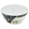 Dinewell Kids Bowl 300ml, Astronaut Design