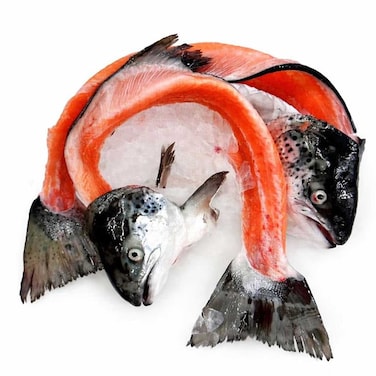 Fresh Salmon Trout Head &amp; Bones