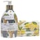 Alchimia Liquid Soap Grapes and Bilberry 300ml with Vegetal Lemon Soap 100g, Pack of 2