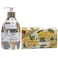 Alchimia Liquid Soap Grapes and Bilberry 300ml with Vegetal Lemon Soap 100g, Pack of 2