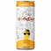 Oodles of Doodles  of Doodles  Mango Flavoured Water Drink, 240ml