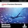 Adobe Premiere Elements 2026, 3 Year License