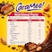 Carameo Glazed Candy Caramel Peanut Candy, Chocolate Coated Candy, 500g
