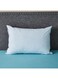 Box Regal Pillow
