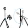 SmallRig CT200 Professional Travel Tripod with Ball Head and Convertible Monopod, 185cm