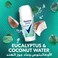 Rexona Thermocool  Antiperspirant Deodorant Roll-On, Cooling Eucalyptus and Coconut Water, 50ml Pack of 2