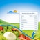 Plein Soleil Light Mayonnaise with Canola Oil, 500ml