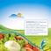 Plein Soleil Light Mayonnaise with Canola Oil, 500ml