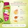 Vatika Naturals Repair and Restore Shampoo 400ml and Romantic Sakura Body Wash 250ml, Pack of 2