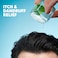 Head &amp; Shoulders Ice Fresh Anti-Dandruff Shampoo, 375ml, Pack of 2