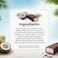 Gandour Hawaii Coconut Bar Milk Chocolate Flavour, 50g, Pack of 24