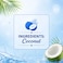 Vita Coco Original Coconut Water, 500ml, Pack of 3