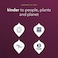 بوكا شاي عضوي ليلي بنكهة التوت خالٍ من الكافيين بشكل طبيعي، 34 غرام