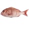 Fresh Red Seabream(Pagrus) 600/800g