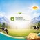Plein Soleil Tilsit Original Cheese Slices, 150g
