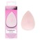 Brushworks Complexion Sponge