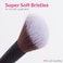 Brushworks No. 26 Angled Contour Brush