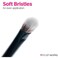 Brushworks No. 19 Crease Blending Eye Brush