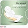 Kotex Maxi Thick Night Natural Sanitary Pads with Wings, 22 Pads, Pack of 2