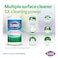 Clorox Fresh Scent Disinfecting Wipes, 75 Wipes, Pack of 2
