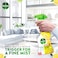 Dettol All Purpose Cleaner, 500ml, Pack of 2