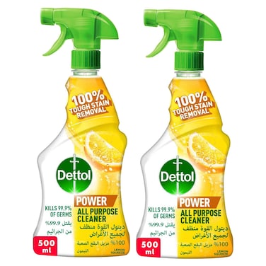 Dettol All Purpose Cleaner, 500ml, Pack of 2