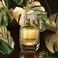 Roberto Cavalli Paradiso Assoluto Eau de Parfum for Women, 75ml
