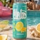 HalaPop Ginger Lemon Prebiotic Sparkling Soda , Zero Added Sugar Refreshing Drink, 250ml