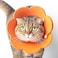 ANTOLE Adjustable Recovery Cat Collar, Cat Cone Soft After Surgery ,Healing Wound Neck Cone for Kitties and Puppies, Protective Collar Elizabethan Collars for Cats Small Dogs (M)