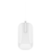 ZAGG Education USB-C Wired Desktop Mouse for macOS and iPadOS, White