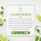 ZOI Ice Tea Lime and Mint No Added Sugar, 320ml, Pack of 6