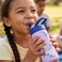 Disney Frozen Playground Water Bottle, 410ml
