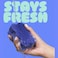 3M Scotch-Brite Scrub and Wipe Blue Hand Scrubber Refill