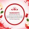 Goli Nutrition Zero Sugar Apple Cider Vinegar Plus Probiotic Gummies, 180g