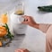 Philips 3000 Series Blender HR2041 with Mill Attachment