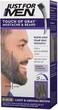 Just For Men Touch of Gray Mustache &amp; Beard Colour B-25/35 Light &amp; Medium Brown with Application Brush, Pack of 2