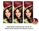 Bigen Speedy Conditioning Hair Color No. 40 Medium Brown, No Ammonia, 10-Minute Coverage, Pack of 3