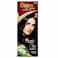 Bigen Speedy Conditioning Hair Color No. 10 Natural Black, Ammonia-Free, Pack of 2