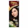 Bigen No-Ammonia Hair Colour &ndash; Brownish Black No. 20