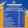Sunshine Nutrition HydraBoost Electrolyte Drink Mix Orange 4g, 20 Sticks