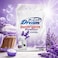 Dream Laundry Detergent Powder Lavender, 2kg