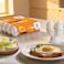 Al Ain Farms Vitamin D Medium Fresh Table Eggs, 30 Eggs