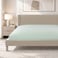 CANNON Double Fitted Sheet, 144 Thread Count, 100% Cotton, 150x200x30cm, Green