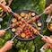Toby's Stainless Steel BBQ Skewers, 40cm, 6 PCS