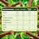 Quality Street Matchmakers Cool Mint Chocolate Sticks, 110g